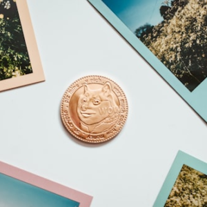 Coin Error Identification Tool