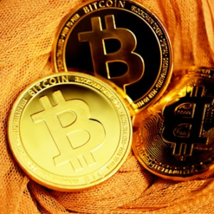 Rare Coin Auction Access