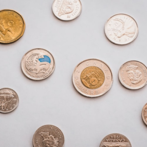 Coin Grading Essentials Kit