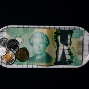 Canadian Coin Collecting Guide