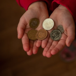Coin Preservation Supplies